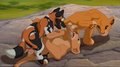 Fun with Wild African Dog Pup by The Giant Hamster by KinkyRomance