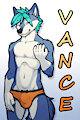 Vance Badge