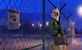 Night Lights - by Racoonwolf by Tydaze