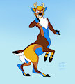 Mintz taur