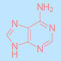 4X+Y Chapter 03 - Twisted Sequence (Adenine) by LemmyNiscuit