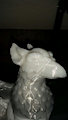 Stony Gryphon by 624aSecret