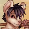 Siddy by ChokoDonkey