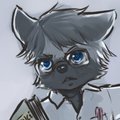 On Biological Fallacies by kitaness