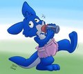 A colored roo!