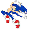 Too Much Sonic for you to handle~