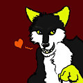 X the Wolf by TheBigBlackCod
