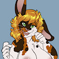 Belle Sikorsky [Custom Character by DBD] by rnixon