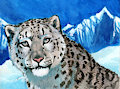 Athari badge by Hibbary by Athari