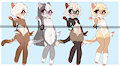 Ferret Adopts:Closed by Clara