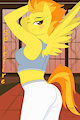 Dojo work out by LigerfoxZeroX