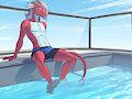 RoofPool by LDR