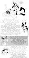 Third Strike, Lucario Confesses, Sylveon Shocked by Tydrian