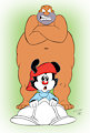 Don't Look Behind Yourself, Wakko! by JaneMJ