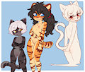 Gender Swap by Clara
