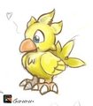 Chocobo by garuru