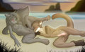 Gift art - Beach afternoon by Blackymoon