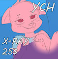 YCH (x-ray) 25$ by LumeKat