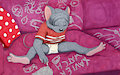 Chalk by Christaphorac