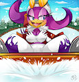 Commission: chacumera