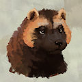 Gulo Gulo by foxovh