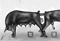 Milking Day by darkmare