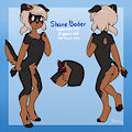 Shane Boder's character sheet by ShaneAndCo