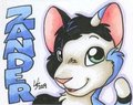 Zander Badge Califur 2009 by Michele Light by zander