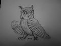 Owl by FireStarsArtdump