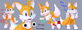 Tails Hand Surgery: A Documentary by Rotalice2