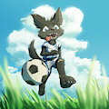 Chasing the ball by DakkaWoof