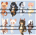 Adopts: Closed by Clara