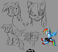 Rainbow Dash sketches by Freefox