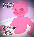 Bath YCH X-ray 25$ by LumeKat