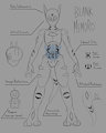 [SFW] Blank Memoro Specs by MotherNoroi