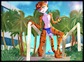 Hot Tiger Cold Pool by cesar23