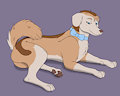 Roxy Laying Down by dovecoon