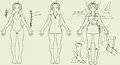 Bertranus concept things by Saucy