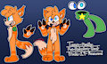 Teven FoxHog Reference Sheet by TevenFoxHog