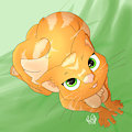 Kat by Dalkiia