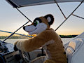 Boaty by Timduru