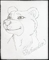 -FAN ART- Autumnbear by GoldNGal
