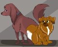 arineu single dog , shy  by arineu