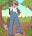 *C*_'The big bad wolf' by Fuf