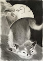 Charcoal from a model by Danygut