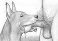 Furry Friends by darkmare