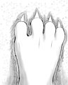 min mega paw by bigshow