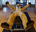 Excercise 2 by Timduru