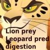 Lion guard: Makucha's Meal/Simba's revenge by Anyonarex