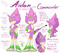 Aidan [ref sheet] by KetCriticalDamage